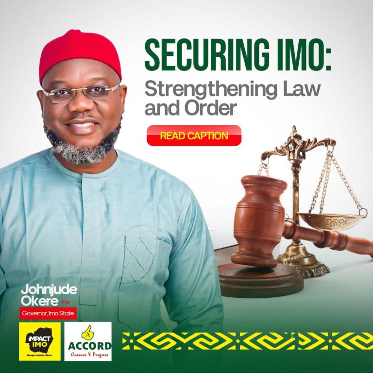 OSAN member contests for governor in Imo